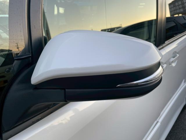 ヴォクシー（新潟県新潟市南区）