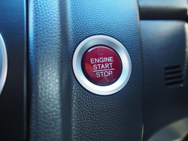 フィット（新潟県新潟市西区）