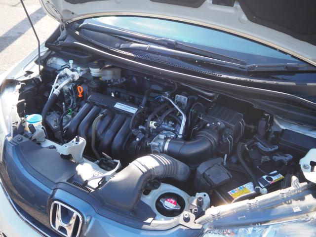 フィット（新潟県新潟市西区）