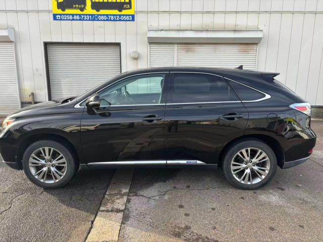 レクサスＲＸ（新潟県長岡市）画像6