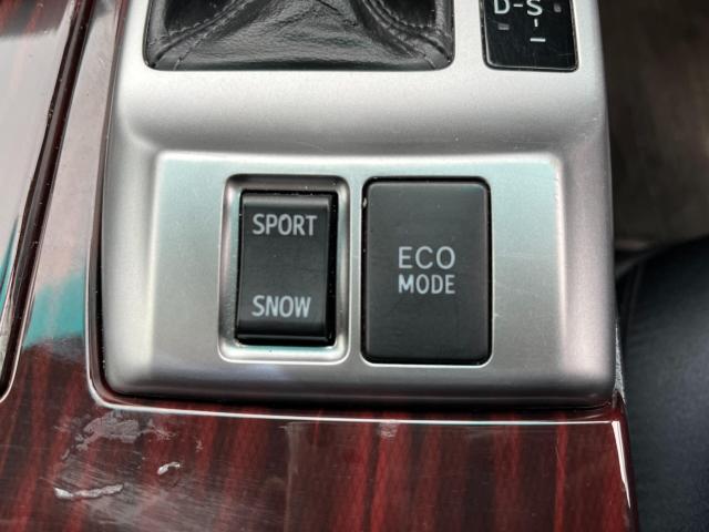 マークＸ（新潟県新潟市西区）