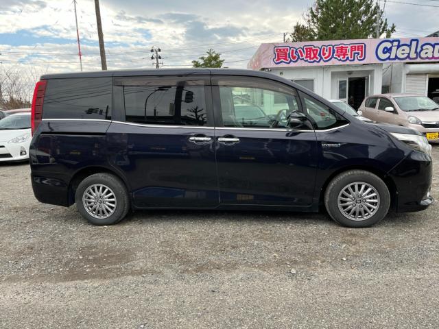 エスクァイア（新潟県新潟市西区）