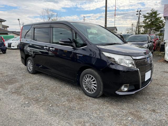 エスクァイア（新潟県新潟市西区）