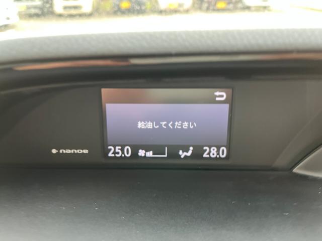 エスクァイア（新潟県新潟市西区）