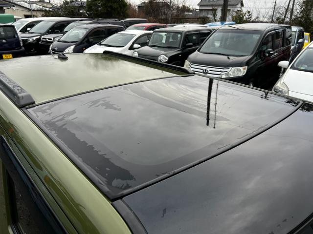 タフト（新潟県新潟市西区）画像6