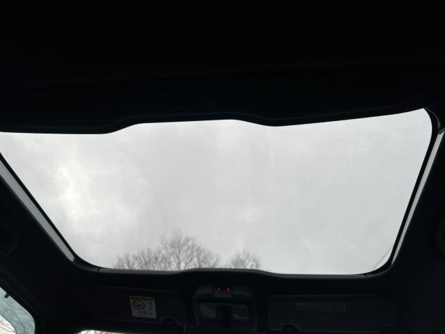 タフト（新潟県新潟市西区）画像42