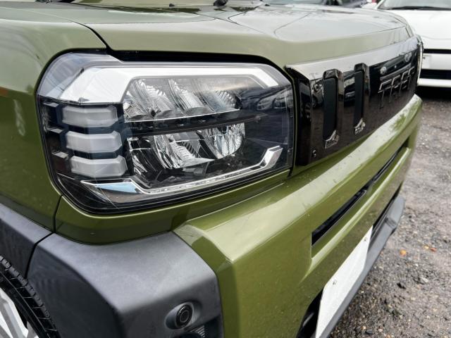 タフト（新潟県新潟市西区）画像59