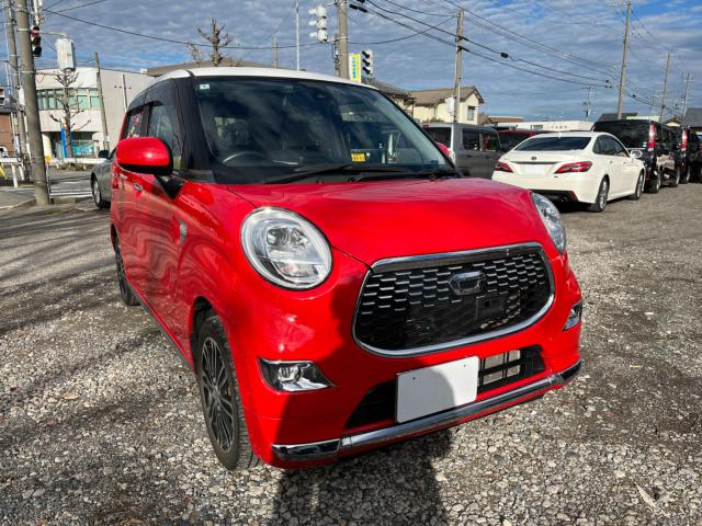 キャスト（新潟県新潟市西区）