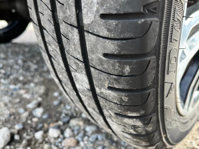 キャスト（新潟県新潟市西区）