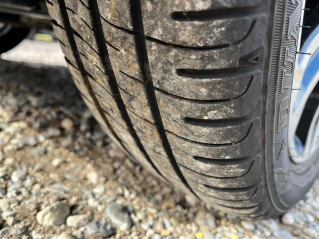 キャスト（新潟県新潟市西区）