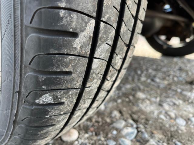 キャスト（新潟県新潟市西区）