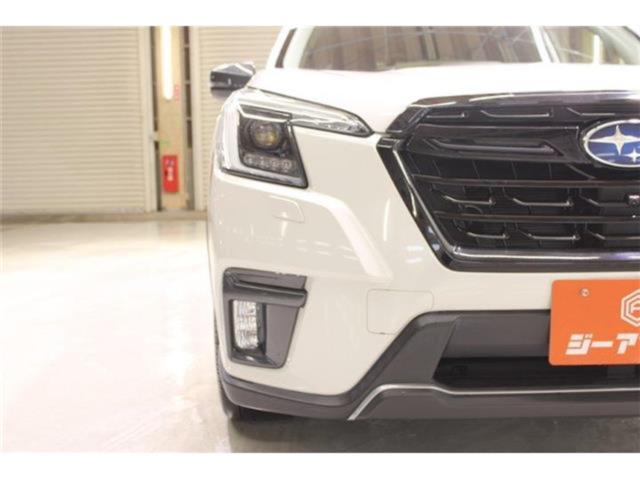 フォレスター（新潟県新潟市東区）