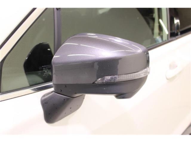 フォレスター（新潟県新潟市東区）