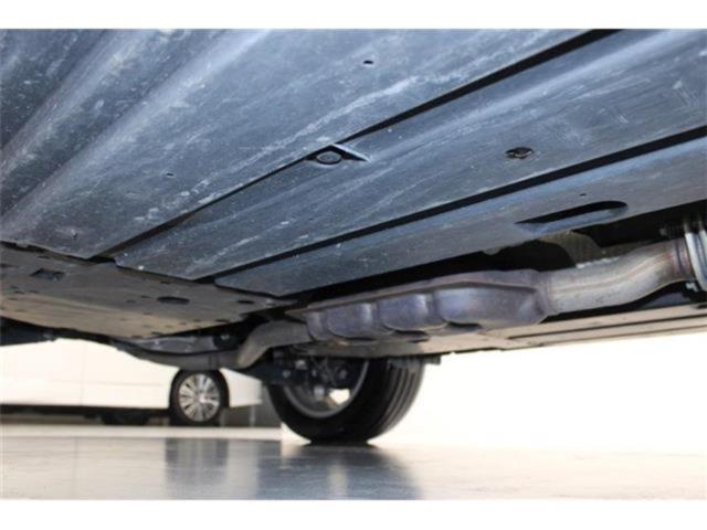 フォレスター（新潟県新潟市東区）