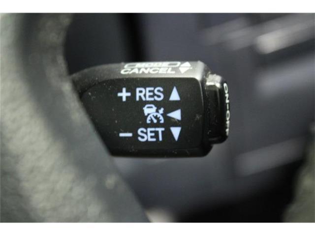 ヴェルファイア（新潟県新潟市東区）