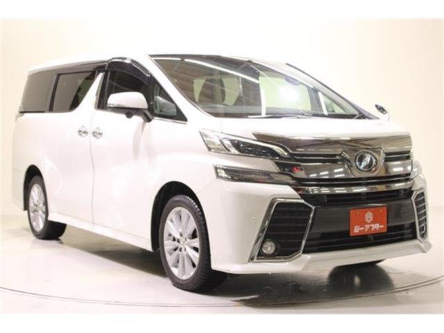 ヴェルファイア（新潟県新潟市東区）