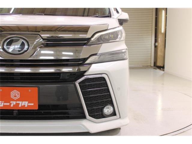 ヴェルファイア（新潟県新潟市東区）