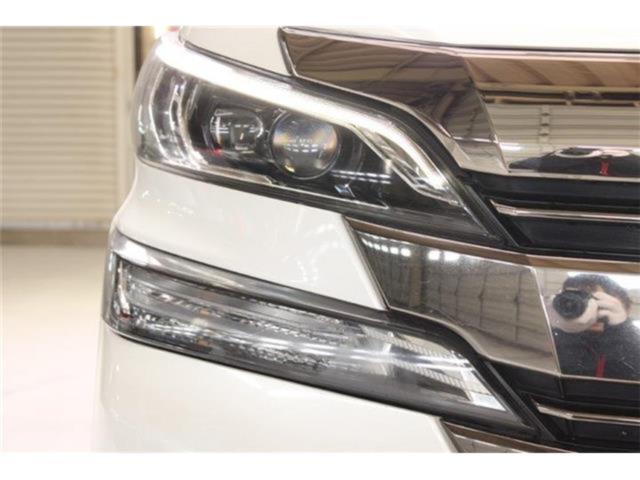 ヴェルファイア（新潟県新潟市東区）