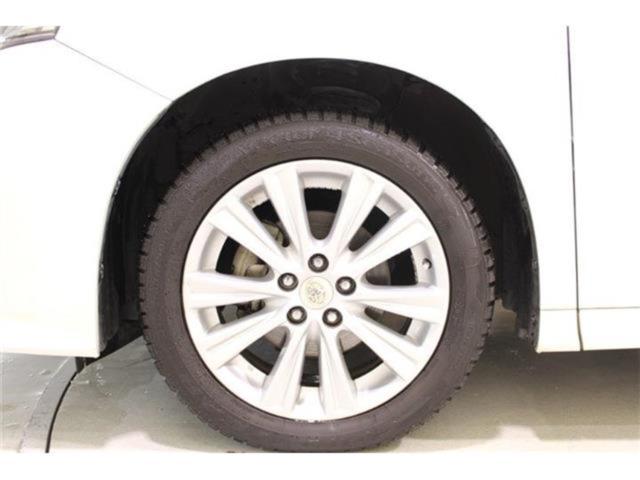 ヴェルファイア（新潟県新潟市東区）