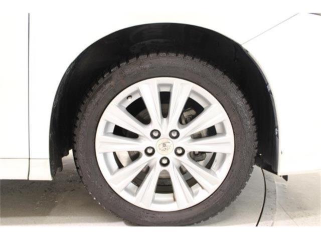 ヴェルファイア（新潟県新潟市東区）