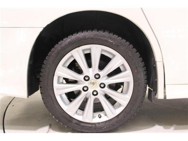 ヴェルファイア（新潟県新潟市東区）