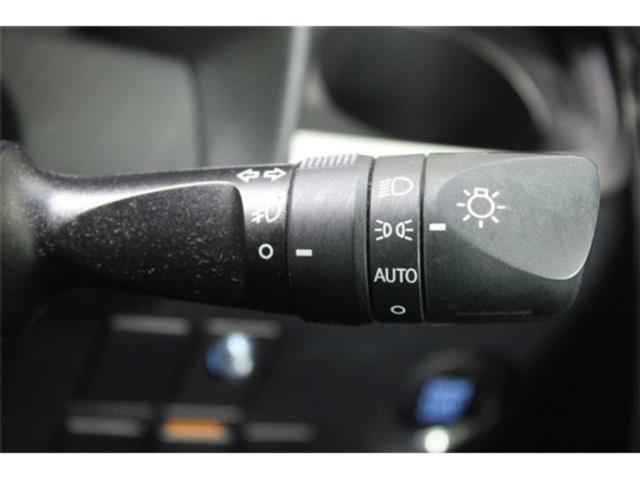 ヴェルファイア（新潟県新潟市東区）