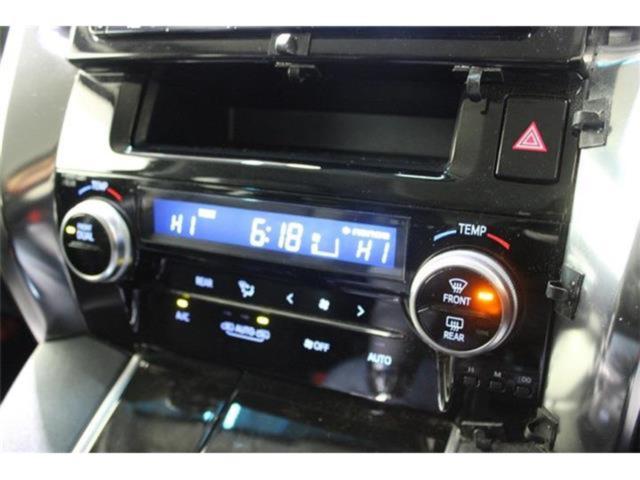 ヴェルファイア（新潟県新潟市東区）