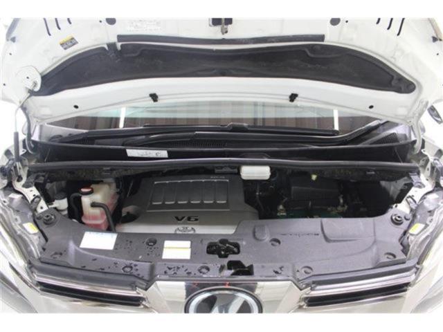 ヴェルファイア（新潟県新潟市東区）