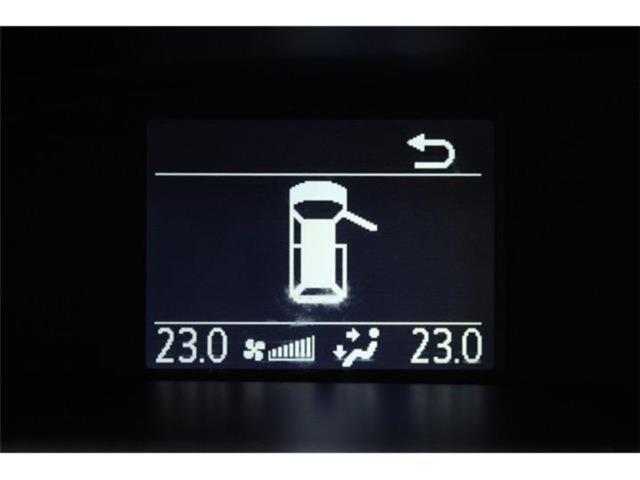 ヴォクシー(新潟県新潟市東区)