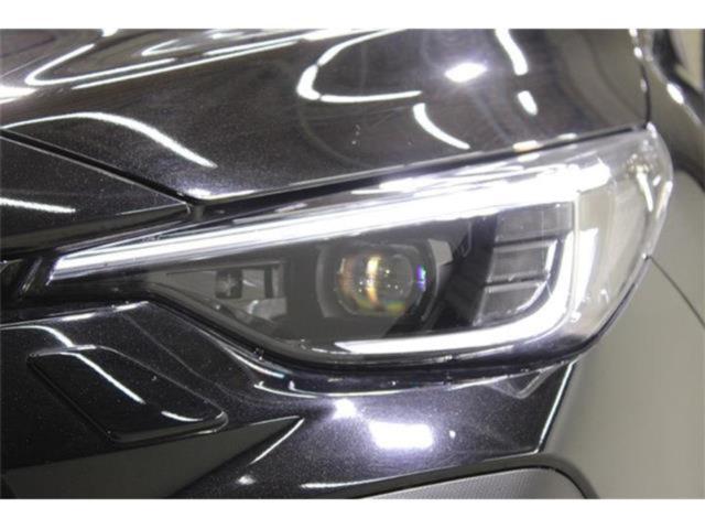 クロストレック（新潟県新潟市東区）画像16