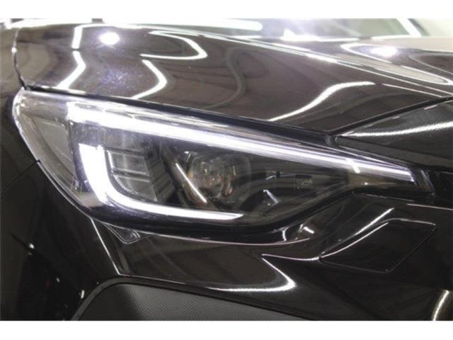 クロストレック（新潟県新潟市東区）画像18