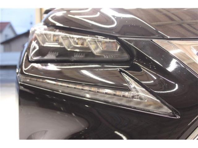 レクサスＮＸ（新潟県新潟市東区）