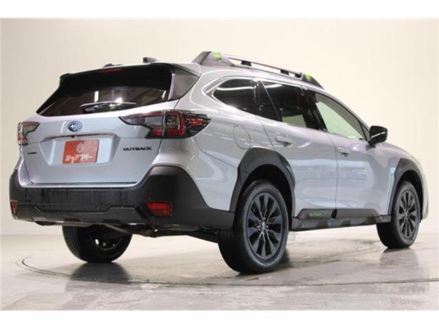 アウトバック（新潟県新潟市東区）画像14