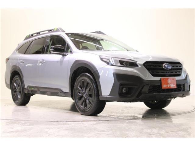 アウトバック（新潟県新潟市東区）画像8