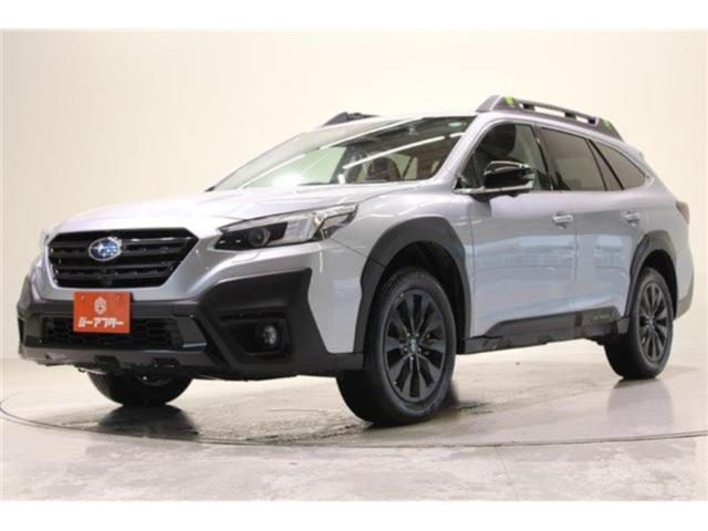 アウトバック（新潟県新潟市東区）画像10