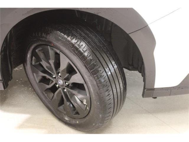 アウトバック（新潟県新潟市東区）