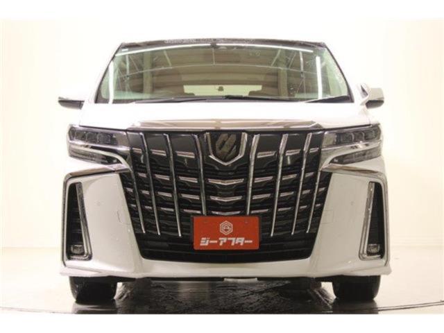 アルファード（新潟県新潟市東区）