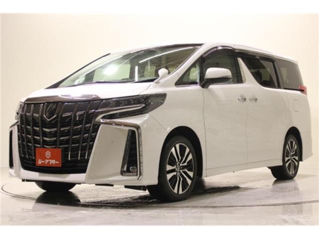 アルファード（新潟県新潟市東区）