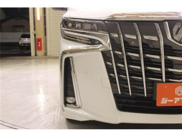 アルファード（新潟県新潟市東区）