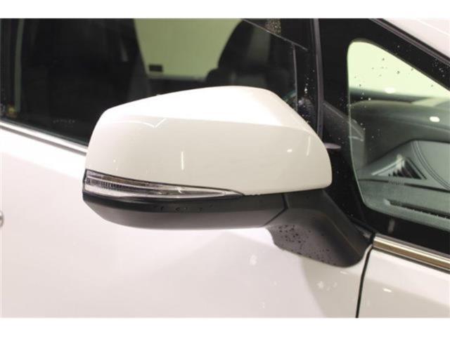 アルファード（新潟県新潟市東区）