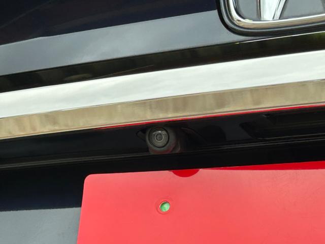 オデッセイ（新潟県新潟市江南区）