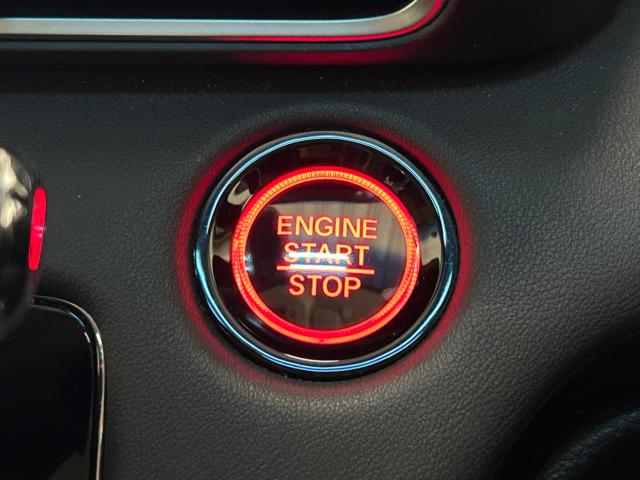 オデッセイ（新潟県新潟市江南区）