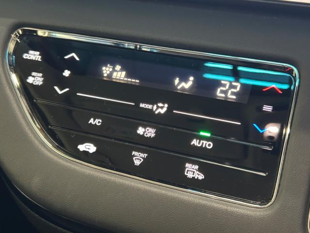 オデッセイ（新潟県新潟市江南区）