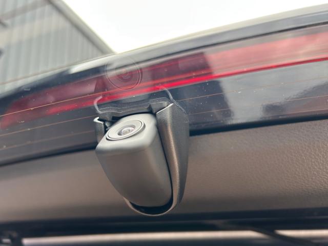 オデッセイ（新潟県新潟市江南区）