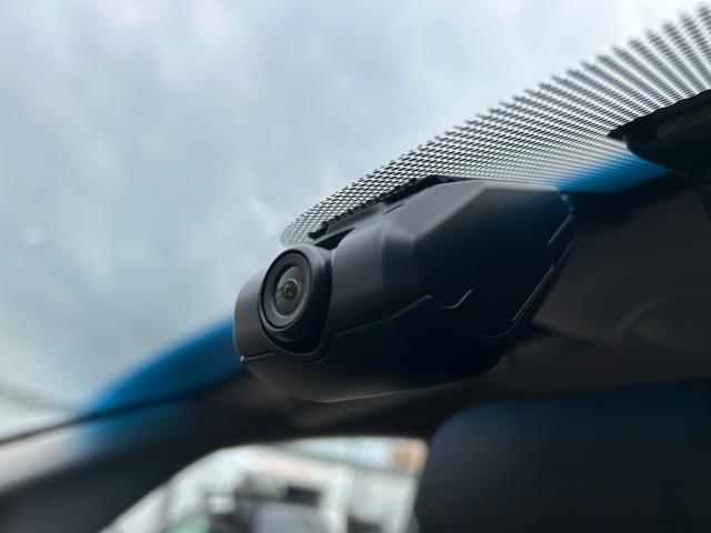 フリードハイブリッド（新潟県新潟市江南区）