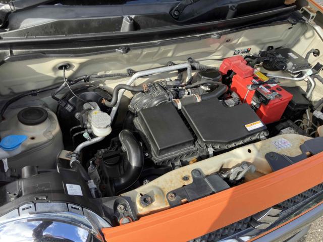 ハスラー（新潟県新潟市中央区）画像13