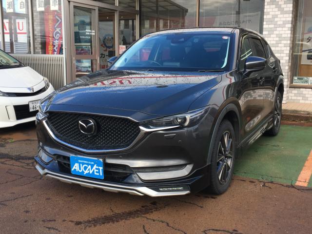 CX-5（新潟県阿賀野市）画像2