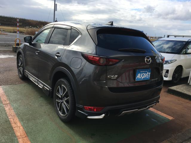 CX-5（新潟県阿賀野市）画像6
