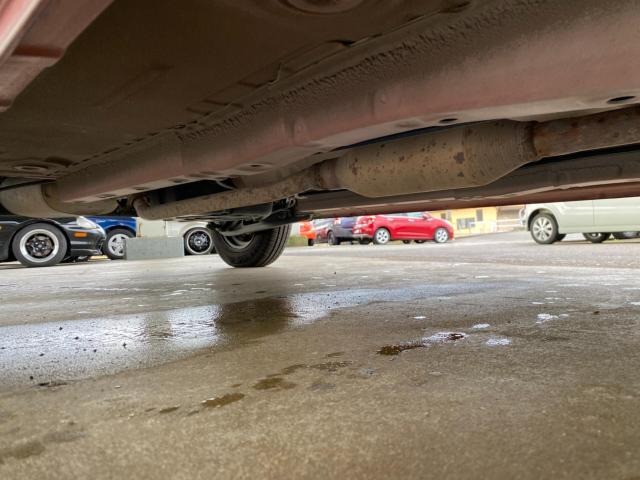 モコ（新潟県新潟市北区）画像17