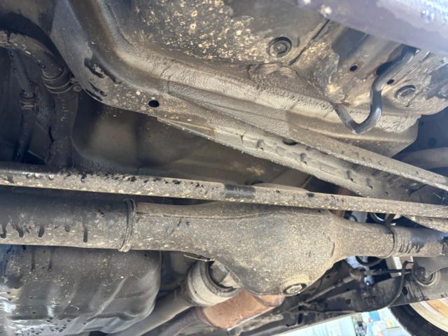 ステラ（新潟県新潟市北区）画像15